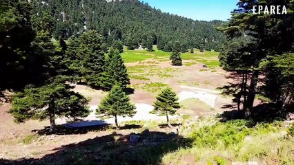 ΑΝΑΒΑΣΗ ΣΤΟ ΟΡΟΠΕΔΙΟ ΤΗΣ ΤΑΝΑΪΔΑΣ ΣΤΗΝ ΕΥΒΟΙΑ