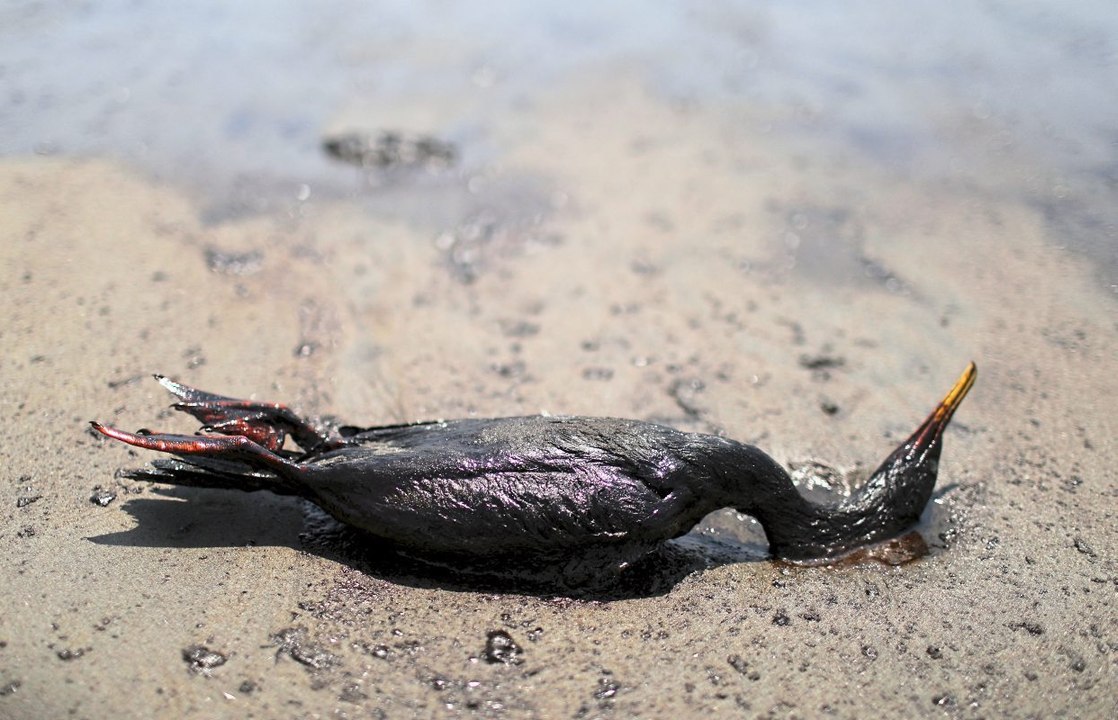 Ölpest in Peru nach Vulkanausbruch nahe Tonga