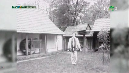 Tiberiu Ceia - Busuioc de prin Banat