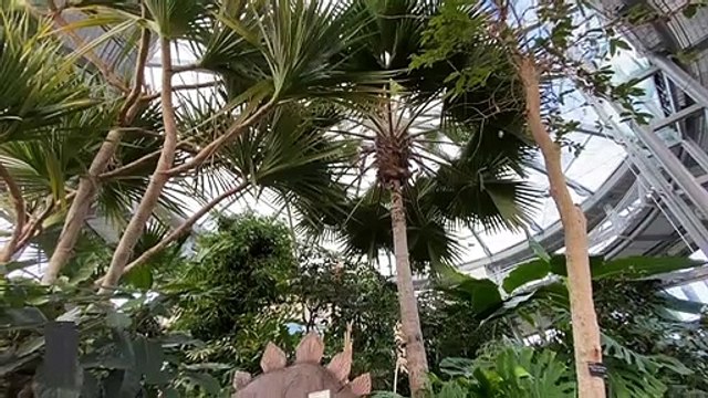 Take a look at the history of Sunderland Museum and Winter Gardens and discover a fantastic day out