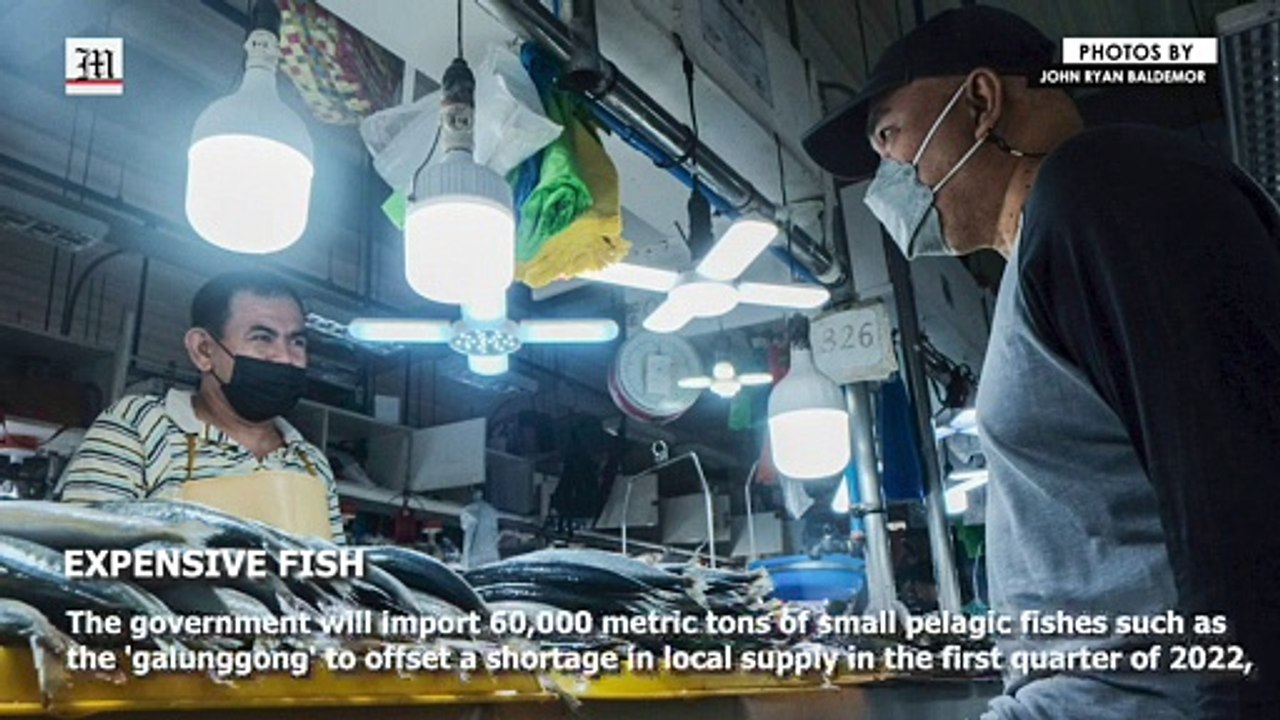 Expensive fish