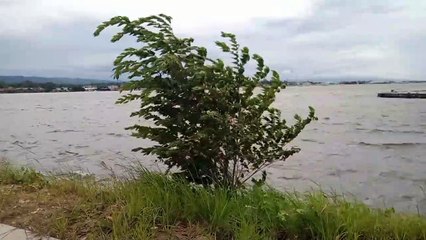 Fenomena Angin Kencang Di Kendari