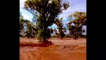 Outback South Australian town cut off after record breaking rainfall blocks access