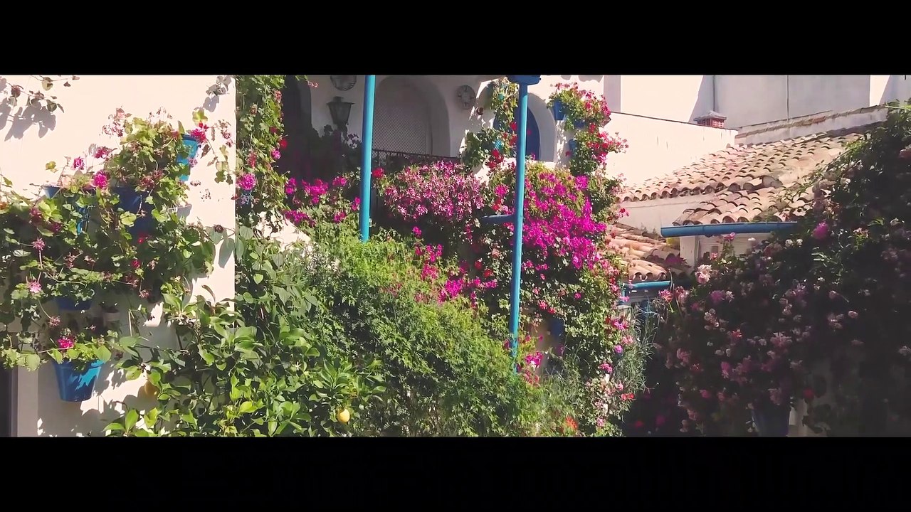 Los Patios de Córdoba celebran diez años como Patrimonio de la Humanidad por la Unesco