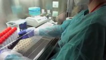 Schleichende Gefahr hinter der Pandemie: Über 1 Mio Tote durch Antibiotika-Resistenz