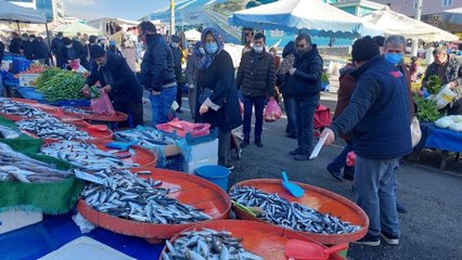 Tekirdağ'da hamsi 25 TL'ye kadar düştü
