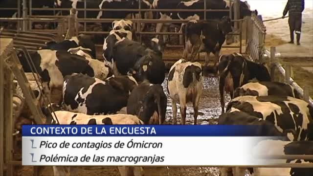 PSOE y PP suben en el primer barómetro del CIS del año