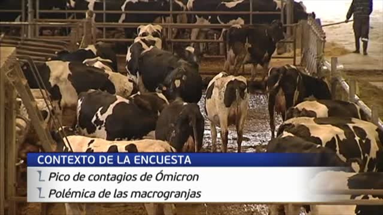 PSOE y PP suben en el primer barómetro del CIS del año