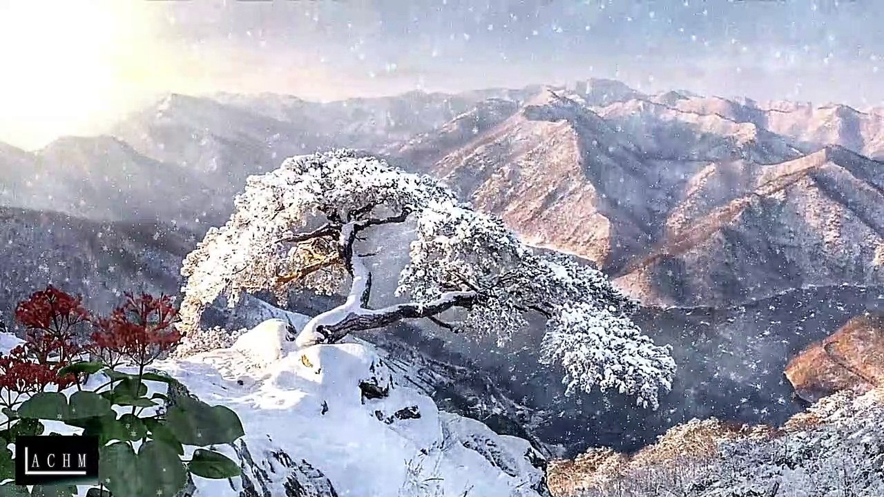 Relaxing Nature Ambiences, Sounds For Background In Twitch, Trovo, Others, Royalty Free