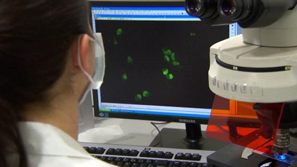 Egyre több embert ölnek meg évente a rezisztens baktériumok