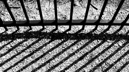 Mujeres trans denuncian abuso policial en Bogotá