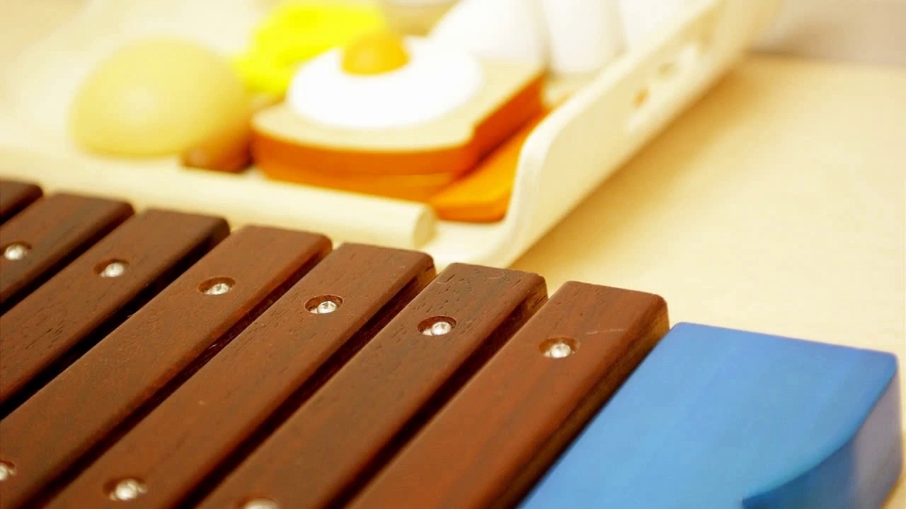 Xylophone - Music Terminology