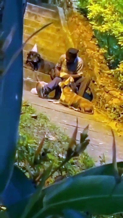 Ce SDF fête l'anniversaire de son chien... adorable