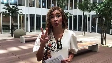 ext-declaraciones-200122