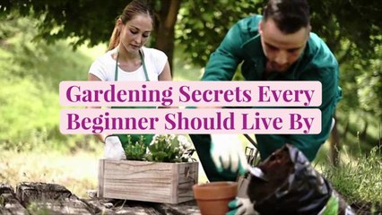 Gardening Secrets Every Beginner Should Live By