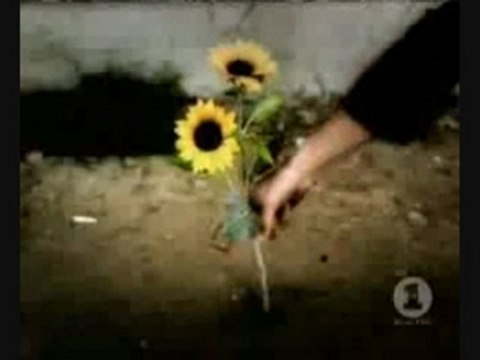 La musique americaine et la musique française