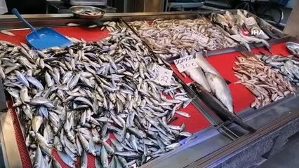 Giresunlu balıkçıların hamsi isyanı