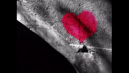 Steal My Heart Dr. Robert Ownby