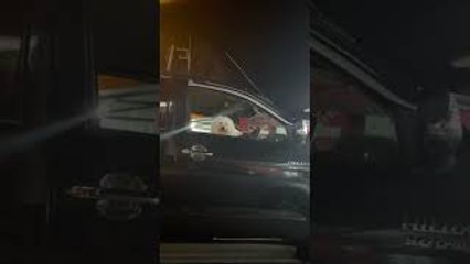 Talking to a Dog in a Parked Truck