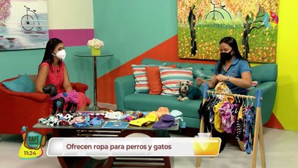 MechuDogs es un empredimiento de ropa confortable para mascotas