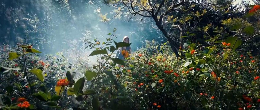 Ojos grises - Tráiler