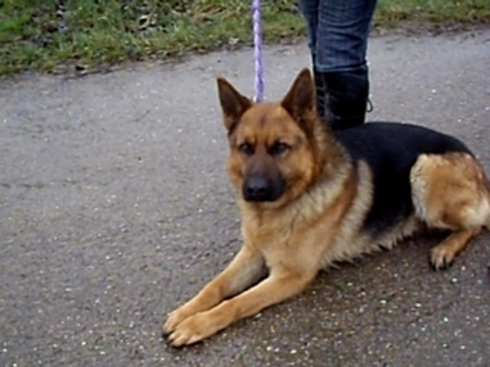 Bacco video mars 08