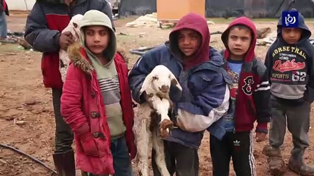 الدفء.. غاية يسعى إليها مزارعو القسطل في ظل الأجواء الباردة