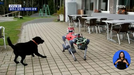 [굿모닝월드] 알프스 오르는 강아지 로봇