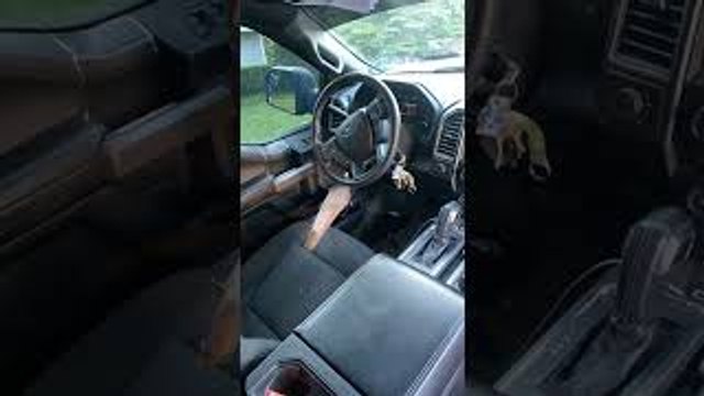 Truck Impaled by Fence Post