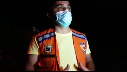 Criadouro clandestino de abelhas em área pública é desmontado em Cascavel