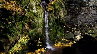 Top 17 Background Waterfall HD