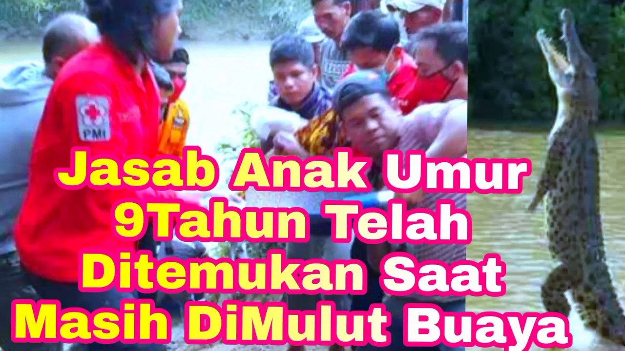 Miris Anak 9 Tahun Telah Ditemukan Saat Ditemukan Masih Di Mulut Buaya