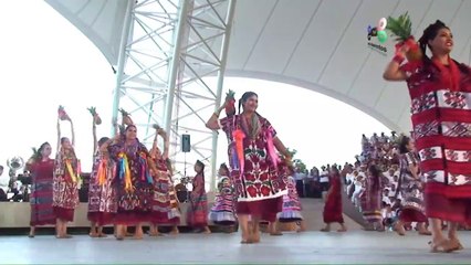 Flor de Piña San Juan Bautista Tuxtepec Guelaguetza 2016
