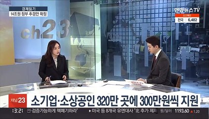 [경제읽기] 14조 규모 정부 추경안 확정…지급 대상·시기는