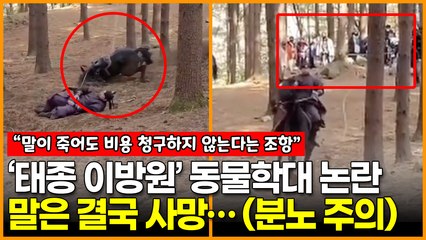 드라마 ‘태종 이방원’ 말 학대→사망 논란, ‘폐지·처벌 청원’ 진행중