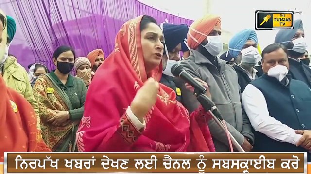 ਮੁੱਖ ਮੰਤਰੀ ਉਮੀਦਵਾਰ ਬਣਨ 'ਤੇ ਮਾਨ 'ਤੇ ਭੜਕੀ ਹਰਸਿਮਰਤ Harsimrat is angry on Bhagwant Mann | The Punjab TV