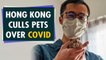 Covid-19: Hong Kong puts down pet hamsters, thousands rush to save them | Oneindia News