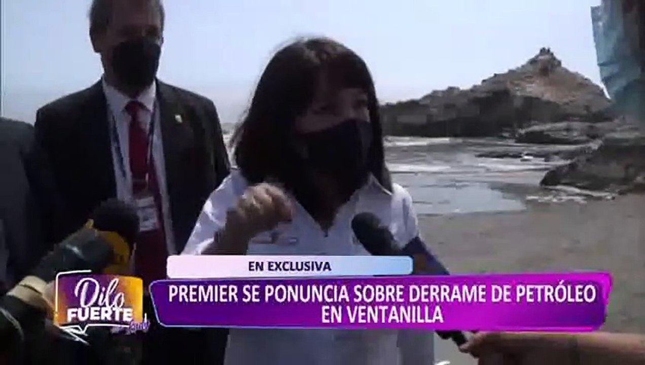 Desastre ecológico en Ventanilla ocasiona graves daños a fauna marina