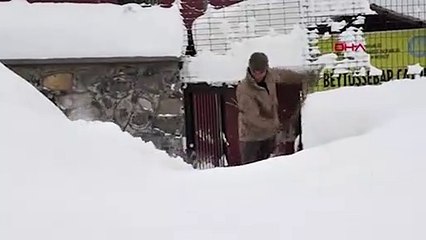 Beytüşşebab'ta ev ve arabalar kar altında kaldı