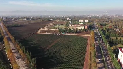 Tarıma verilen destek çiftçilere "can suyu" oldu