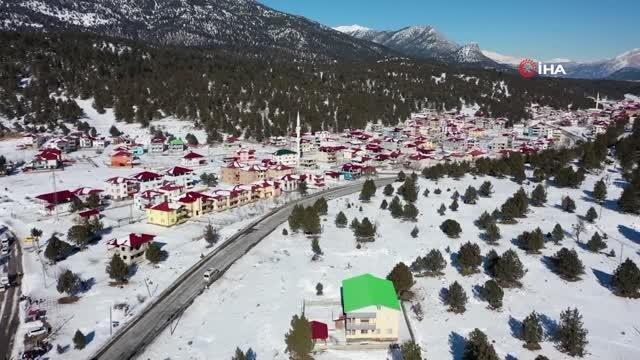 Mersin'de yılkı atları ve köpekler için doğaya yem bırakıldı