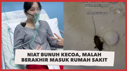 Niat Bunuh Kecoa, Cewek Ini Malah Berakhir Masuk Rumah Sakit: Aku Hampir Gugur