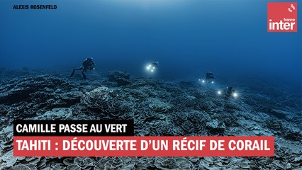 Tahiti : découverte d'un récif de corail intact et gigantesque !