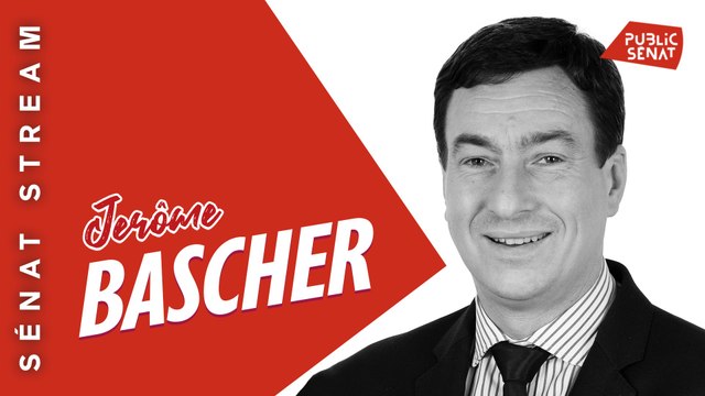 Jérôme Bascher - Sénat stream - Questions aux sénateurs