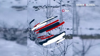 Karda yiyecek bulamayan karacalar Trabzon'da köyü ziyaret etti