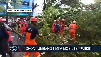 Pohon Tumbang Timpa Mobil Terparkir
