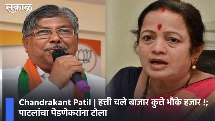 Chandrakant Patil | हत्ती चले बाजार कुत्ते भौके हजार !; पाटलांचा पेडणेकरांना टोला