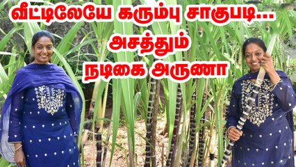 வீட்டிலேயே பொங்கல் கரும்பு சாகுபடி... நடிகை அருணாவின் அசத்தல் முயற்சி  | Pasumai Vikatan