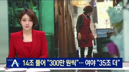 14조 풀어 소상공인에 “300만 원씩”…여야 “35조 더”