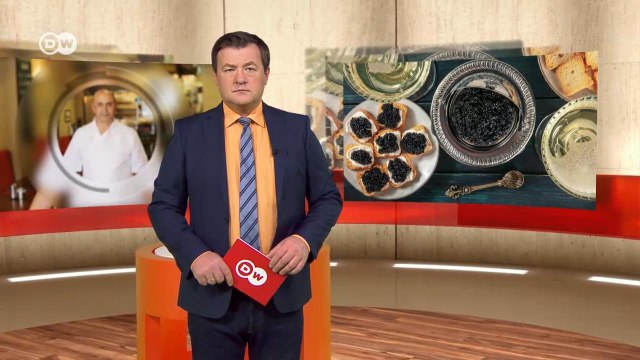 Охота на осетра, или Что не так с добычей черной икры. Европа в фокусе